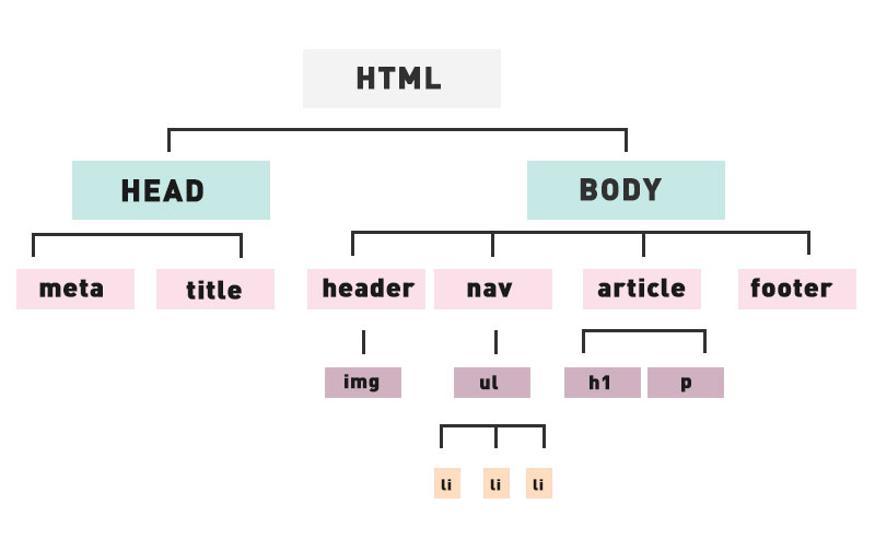 Árbol-HTML